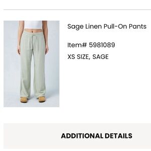 Pacsun Sage linen pull on pants